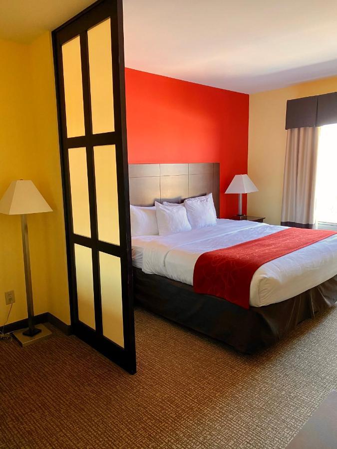 Comfort Suites Rock Hill Manchester Meadows Area Εξωτερικό φωτογραφία