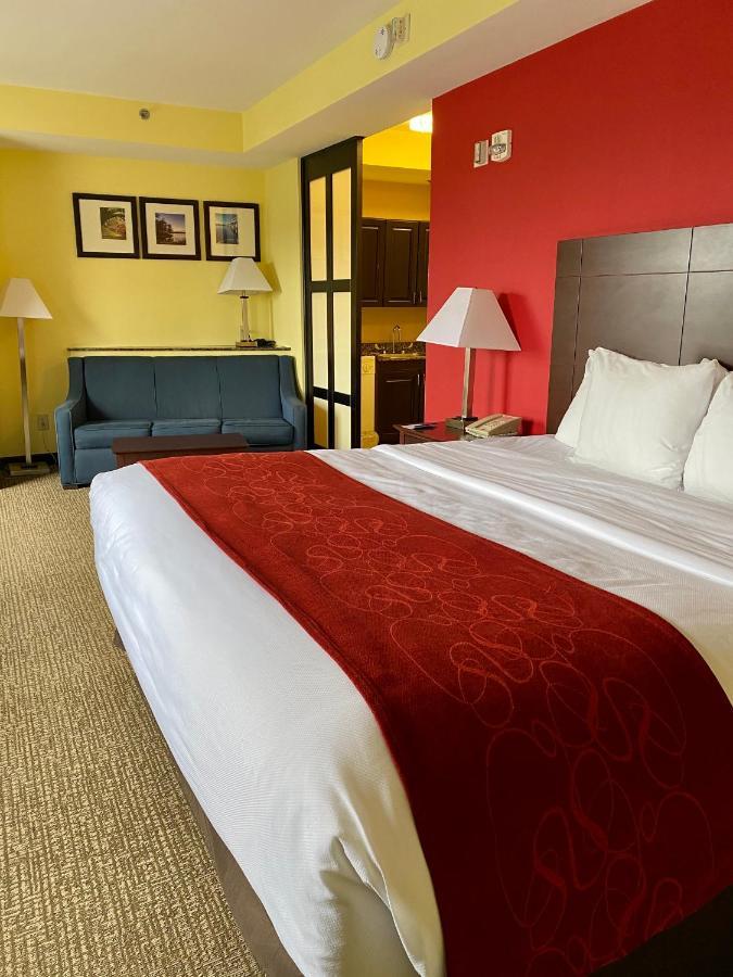 Comfort Suites Rock Hill Manchester Meadows Area Εξωτερικό φωτογραφία