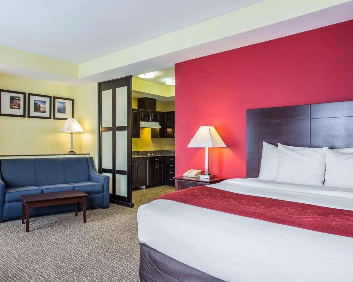 Comfort Suites Rock Hill Manchester Meadows Area Εξωτερικό φωτογραφία
